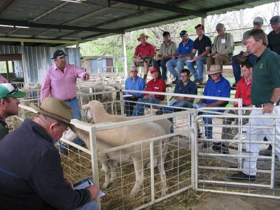 2016 Annual Ram Sale!!