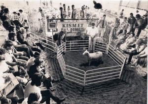 Kismet Stud 1980 Annual Ram Sale