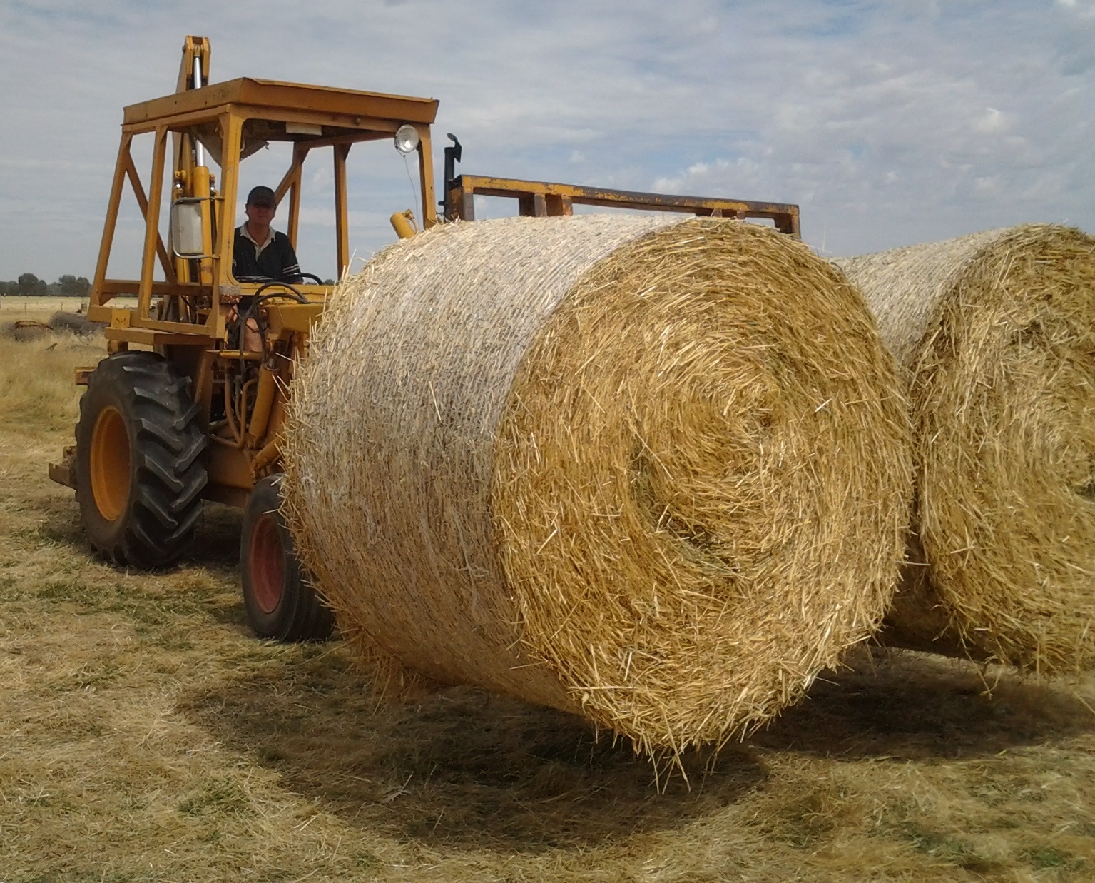 Round Hay Bales for sale