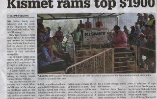 Kismet rams top $1900