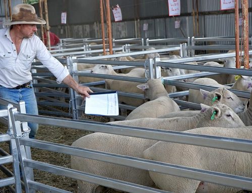 2021 Spring Ram Sale results