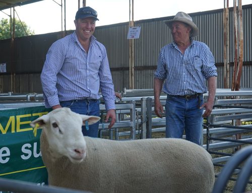 2024 Spring Ram Sale results