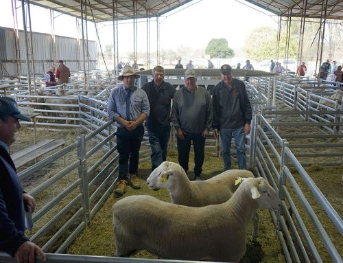 2025 Spring Ram Sale results